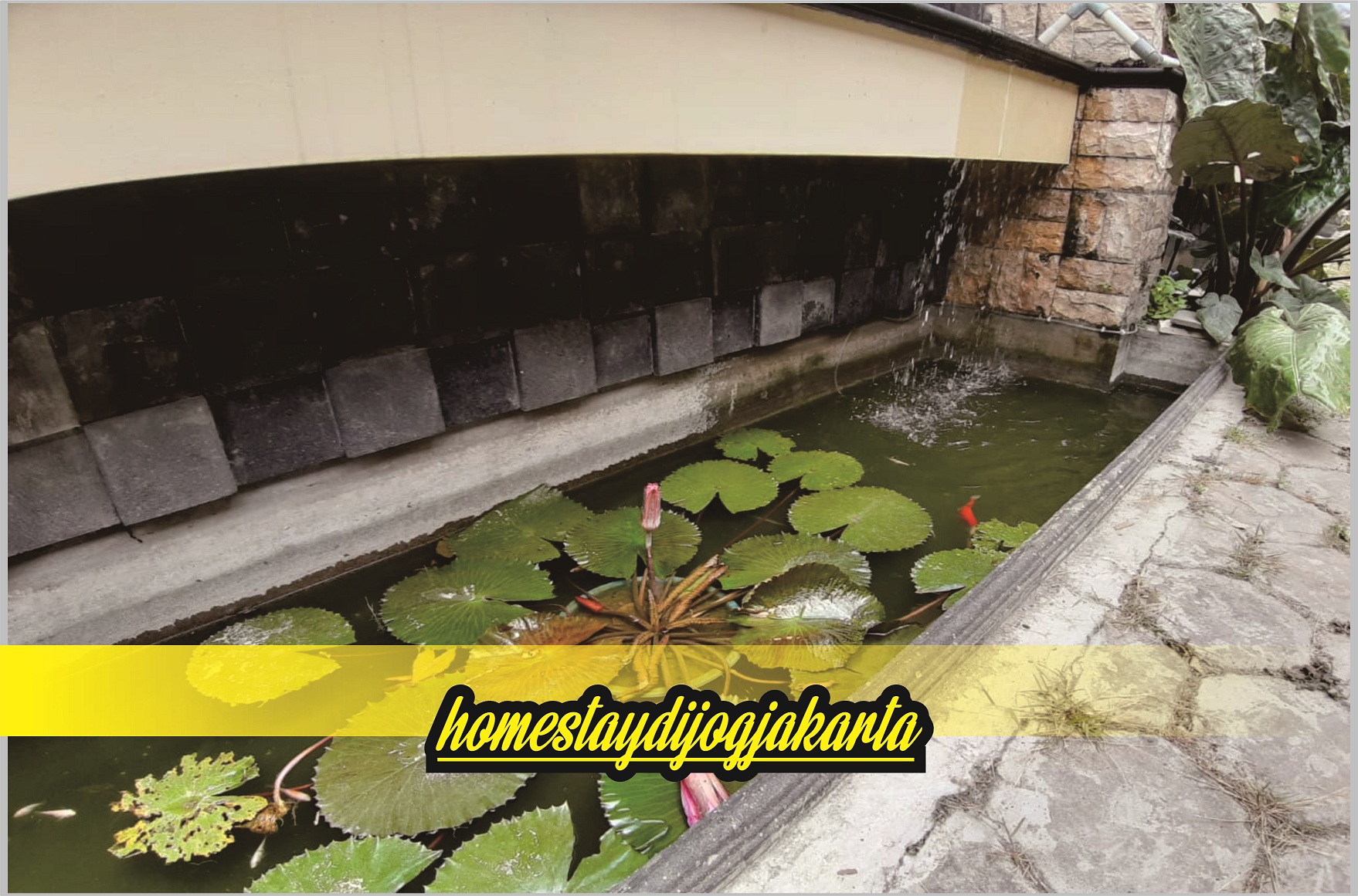 Homestay Image